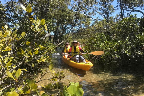 Paddle In Paradise - 4 Hours Double Kayak Hire - Attractions Melbourne 1