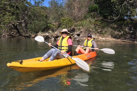 Paddle In Paradise - 4 Hours Double Kayak Hire - Attractions Melbourne 6
