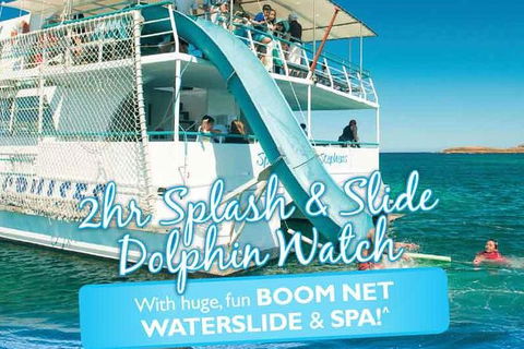 Port Stephens Dolphin Watching Cruise Including Splash And Slide - Attractions Melbourne 0