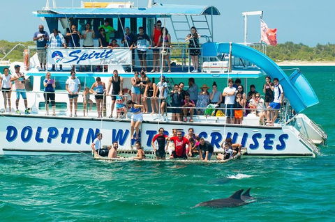 Port Stephens Dolphin Watching Cruise Including Splash And Slide - Attractions Melbourne 1