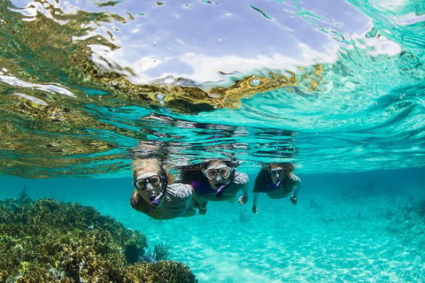 Sydney 3-Hour Snorkeling Tour - Attractions Melbourne 0