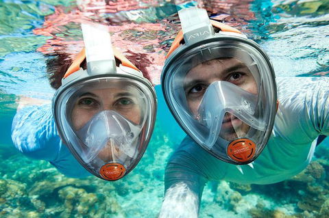 Sydney 3-Hour Snorkeling Tour - Attractions Melbourne 1