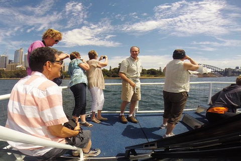 Sydney Harbour Private Tour - Attractions Melbourne 2