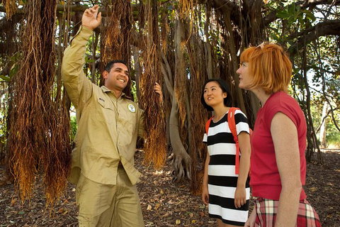 Aboriginal Heritage Tour At The Royal Botanic Garden Sydney - Attractions Melbourne 6