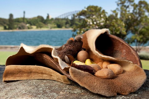 Aboriginal Heritage Tour At The Royal Botanic Garden Sydney - Attractions Melbourne 7