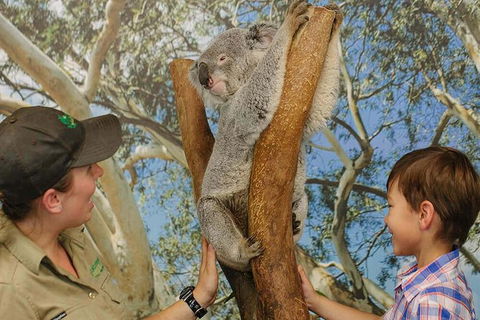 Small Group Blue Mountains Day Tour From Sydney - Attractions Melbourne 4
