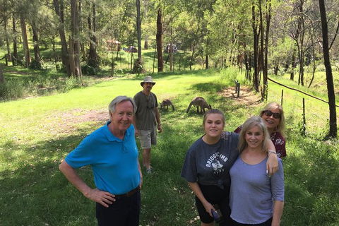 Small Group Blue Mountains Day Tour From Sydney - Attractions Melbourne 9