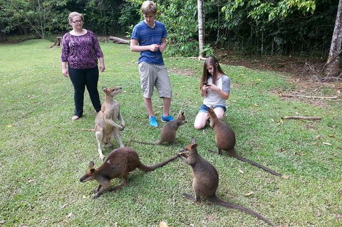 Small Group Blue Mountains Day Tour From Sydney - Attractions Melbourne 3