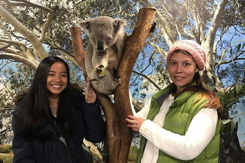 Australia Multi-City Attractions Pass - Attractions Melbourne 2
