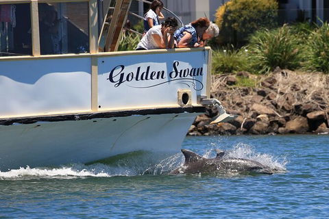 Tweed River And Rainforest Eco Cruise - Attractions Melbourne 2