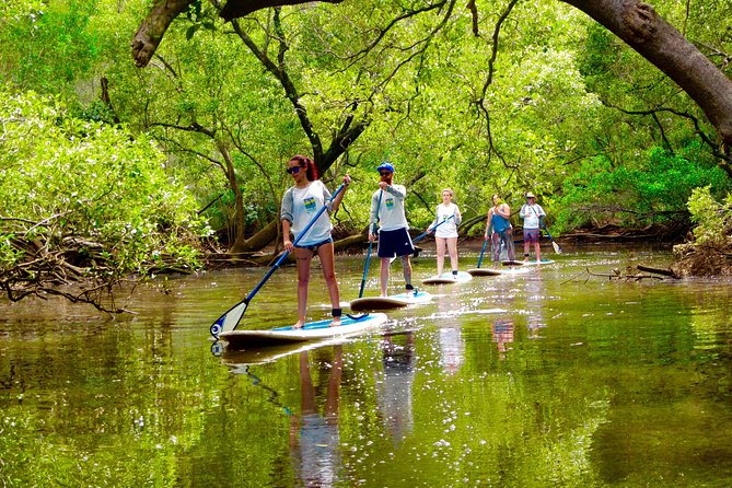  Attractions Melbourne