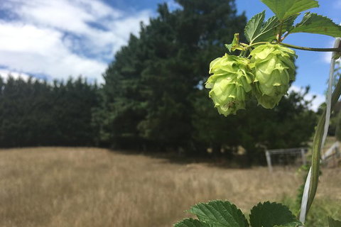Southern Highlands Craft Beer Brewery Tour From Sydney - Attractions Melbourne 1