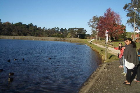 All-Day Blue Mountains Private Tour With Professional Guide For Up To 4 People - Attractions Melbourne 24