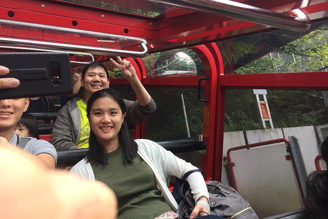 All-Day Blue Mountains Private Tour With Professional Guide For Up To 4 People - Attractions Melbourne 15