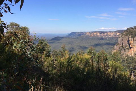 All-Day Blue Mountains Private Tour With Professional Guide For Up To 4 People - Attractions Melbourne 4