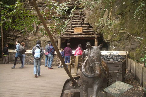 All-Day Blue Mountains Private Tour With Professional Guide For Up To 4 People - Attractions Melbourne 9