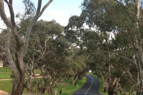 All-Day Blue Mountains Private Tour With Professional Guide For Up To 4 People - Attractions Melbourne 22