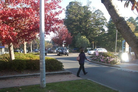 All-Day Blue Mountains Private Tour With Professional Guide For Up To 4 People - Attractions Melbourne 12