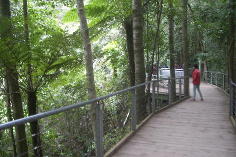 All-Day Blue Mountains Private Tour With Professional Guide For Up To 4 People - Attractions Melbourne 20