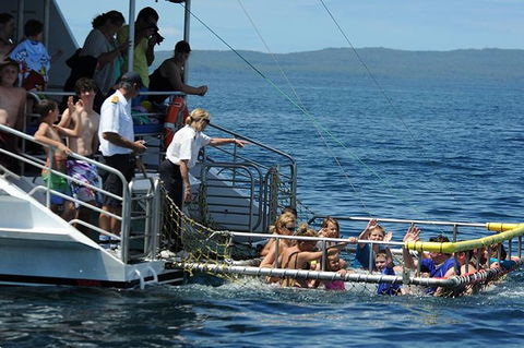 Jervis Bay Boom Netting And Dolphins Tour - Attractions Melbourne 1