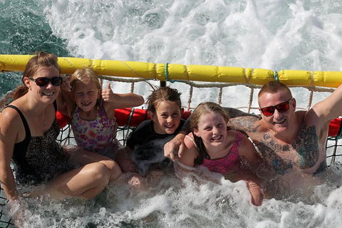 Jervis Bay Boom Netting And Dolphins Tour - Attractions Melbourne 0