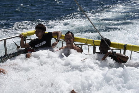 Jervis Bay Boom Netting And Dolphins Tour - Attractions Melbourne 9