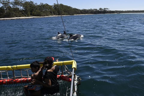 Jervis Bay Boom Netting And Dolphins Tour - Attractions Melbourne 6