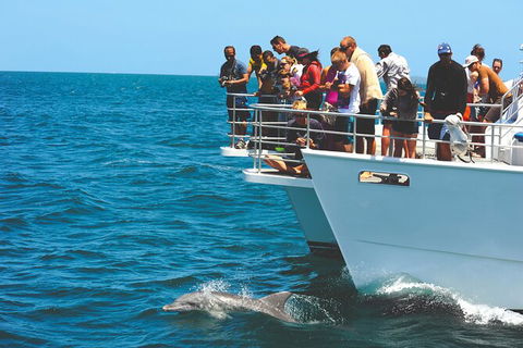 Jervis Bay Boom Netting And Dolphins Tour - Attractions Melbourne 10