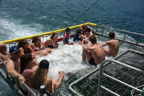 Jervis Bay Boom Netting And Dolphins Tour - Attractions Melbourne 4