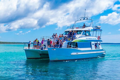 Jervis Bay Boom Netting And Dolphins Tour - Attractions Melbourne 3