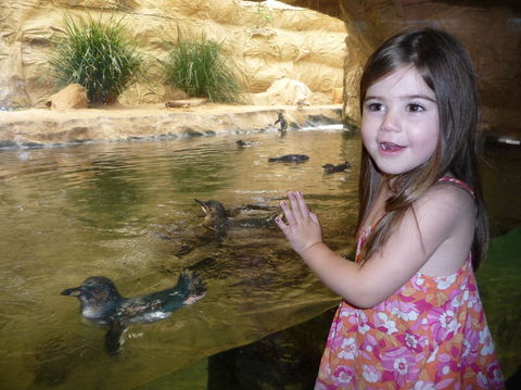 WILD LIFE Sydney Entrance Ticket - Attractions Melbourne 2