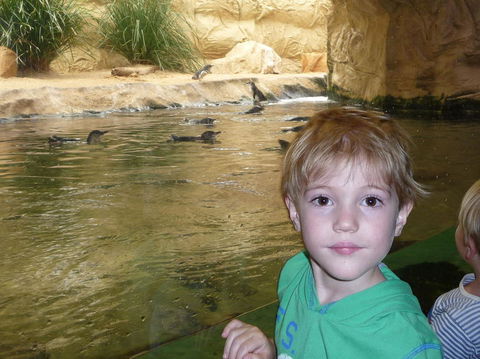 WILD LIFE Sydney Entrance Ticket - Attractions Melbourne 5