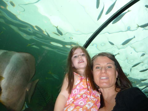 WILD LIFE Sydney Entrance Ticket - Attractions Melbourne 4