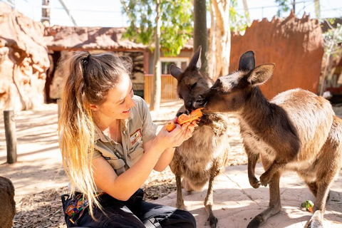 WILD LIFE Sydney Entrance Ticket - Attractions Melbourne 18