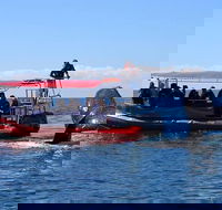 Byron Bay Whale Watching Cruise - Attractions Melbourne