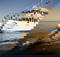 Jervis Bay Dolphin Watch Cruise - Attractions Melbourne