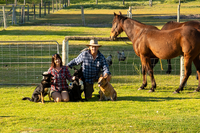 Book Medina Accommodation Vacations Attractions Melbourne Attractions Melbourne