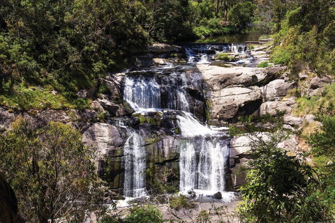 Agnes Falls Scenic Reserve - Attractions Melbourne 0