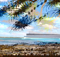 Arrawarra-Corindi Beach - Attractions Melbourne