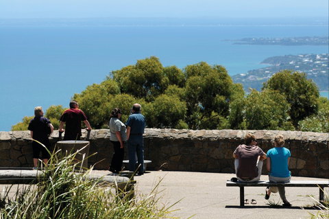 Arthurs Seat State Park - Attractions Melbourne 0