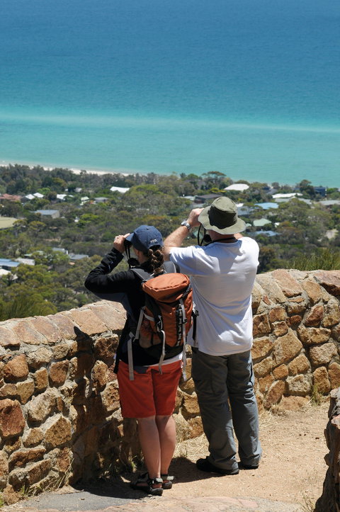 Arthurs Seat State Park - Attractions Melbourne 2