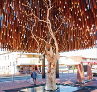 Barcaldine - Attractions Melbourne