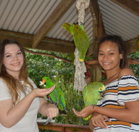 Birdworld Kuranda - Attractions Melbourne