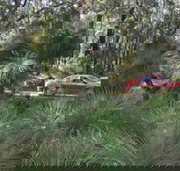 Bridgetown Jarrah Park - Attractions Melbourne