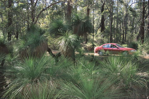 Bridgetown Jarrah Park - Attractions Melbourne 0