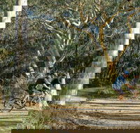 Bundanoon cycling route - Attractions Melbourne