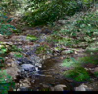 Cascades picnic area - Attractions Melbourne