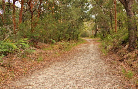 Daleys Point Walking Track - Attractions Melbourne 0