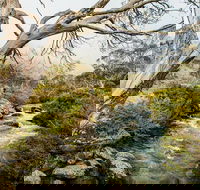 Dead Horse Gap walking track - Attractions Melbourne