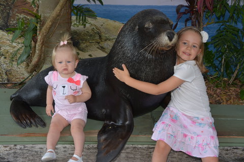 Dolphin Marine Conservation Park - Attractions Melbourne 1